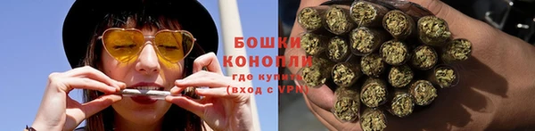 сатива Горнозаводск