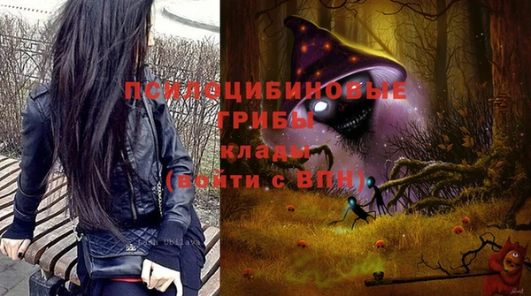 индика Вяземский