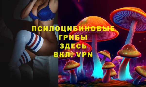 сатива Горнозаводск
