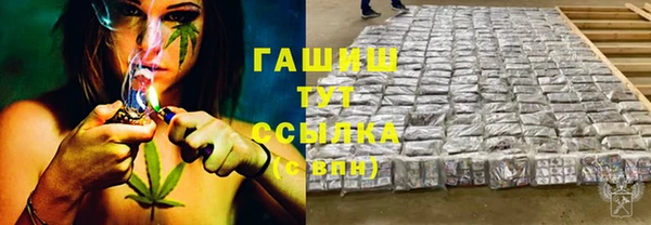 сатива Горнозаводск