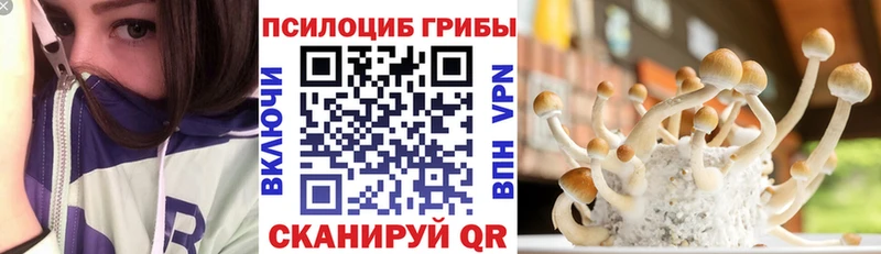 Галлюциногенные грибы MAGIC MUSHROOMS  Купить где  Кондрово 